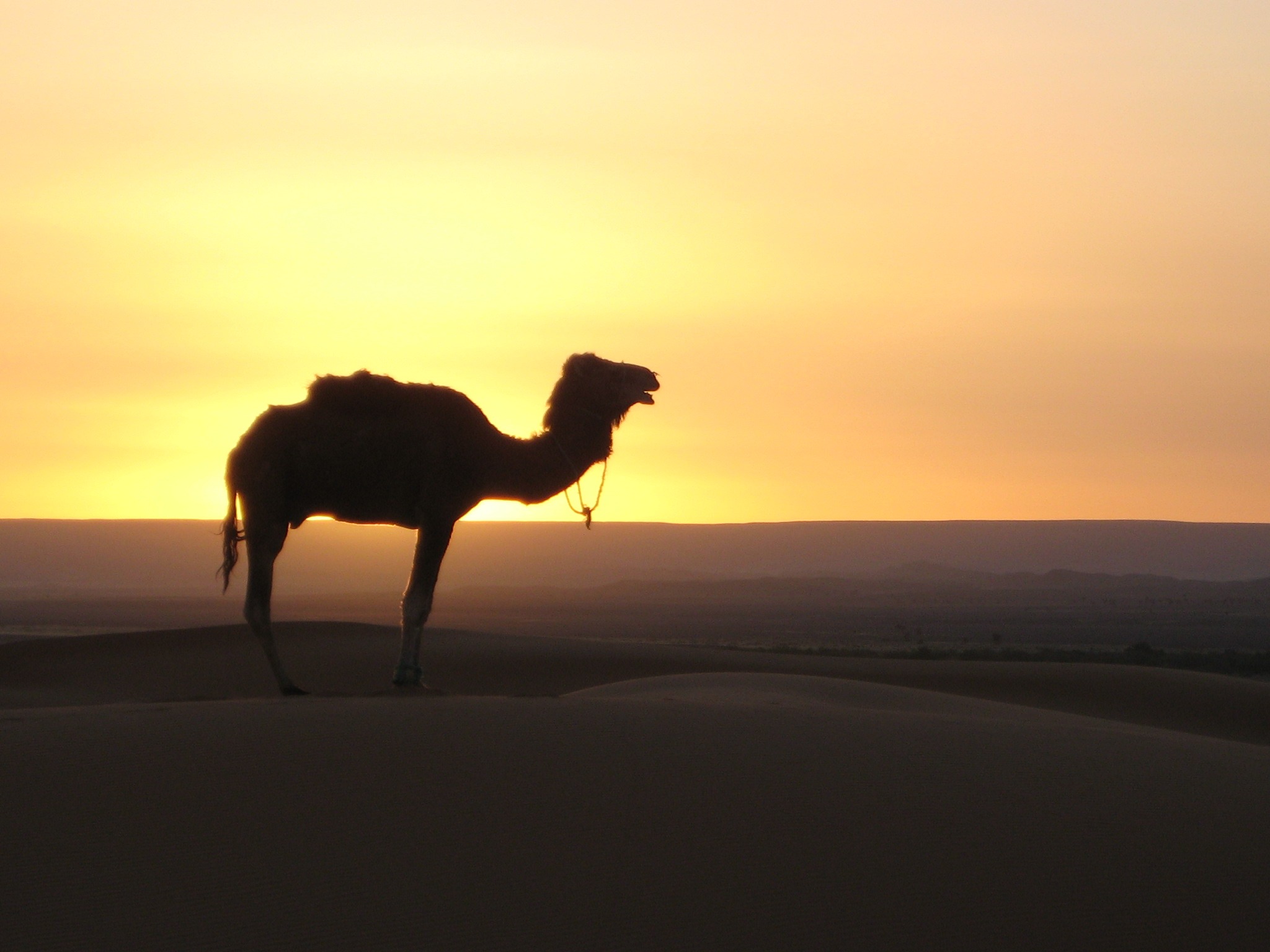 landscape-horizon-sunrise-sunset-morning-desert-1111673-pxhere.com
